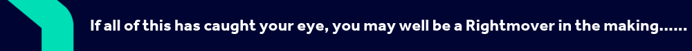 If all of this has caught your eye, you may well be a Rightmover in the making - Banner image