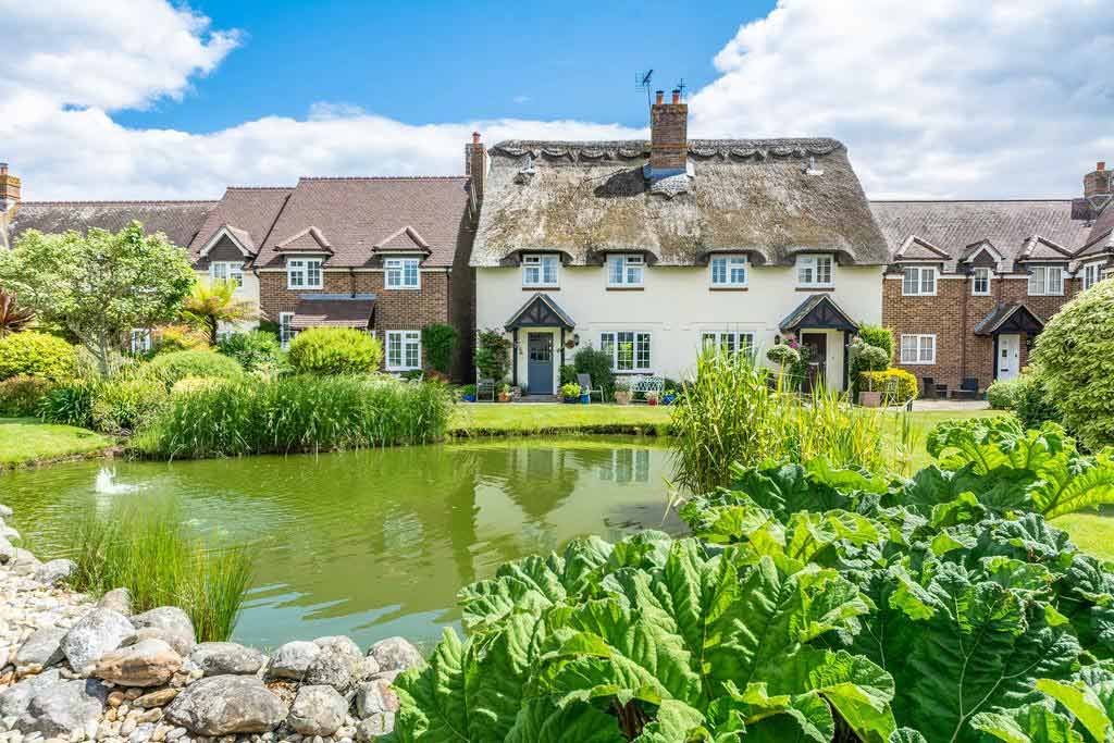 A home with a thatched roof by a reed-filled pond