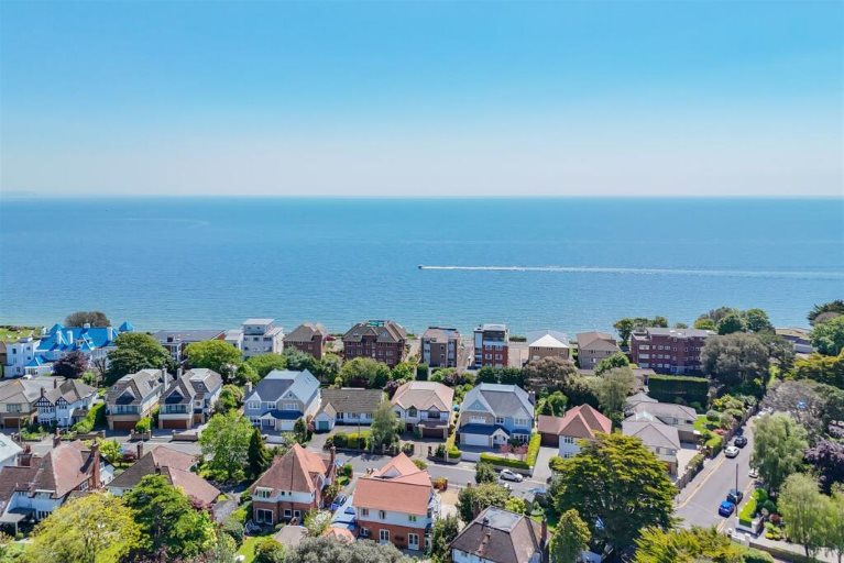 An aerial view of homes by the sea