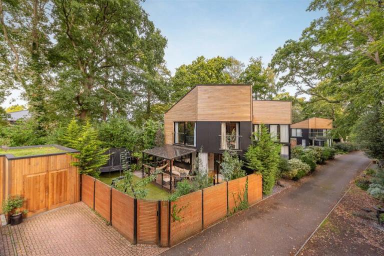 An eco house in Surrey, trees