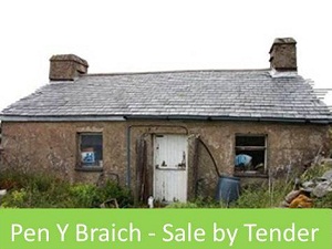 Pen Y Braich - Sale by Tender